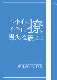 不小心撩了个直男怎么破全文免费阅读