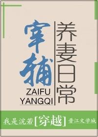 宰辅大人养妻日常