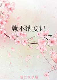 就不纳妾记晋江