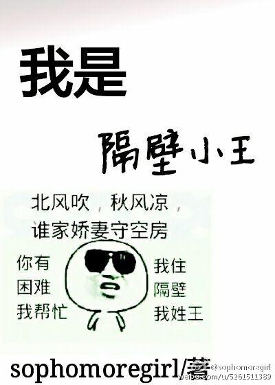 我是隔壁老王攻略