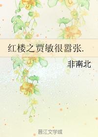 红楼梦之贾敏