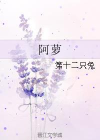 阿萝番外 作者第十二只兔