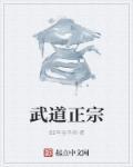 武道宗师是什么概念