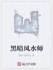 风水师全集