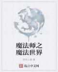 魔法师之魔法世界之魔幻季节