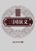 三国演义读后感100字