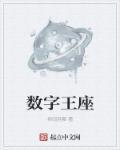 数字王国是什么意思