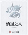 消逝的风 师徒