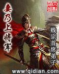 妻乃上将军吧