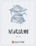 星武是什么意思