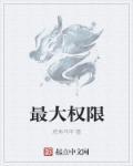 最大权限的律师授权委托书