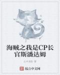 海贼之我是cp0