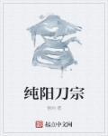 纯阳武学招式