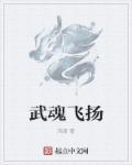 武魂合集