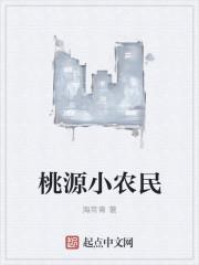 桃源小农民免费txt