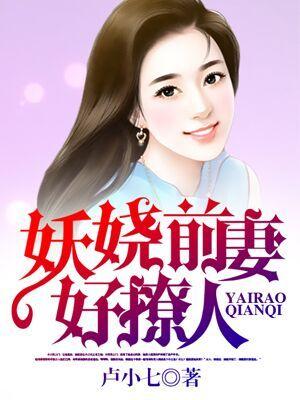 奈何前妻太撩人