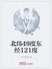 北纬49度58分东经10度91分