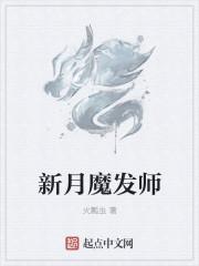 新月法师加点