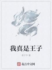 我是王子(真)