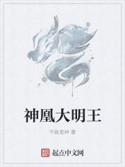 大明圣王免费阅读完整版