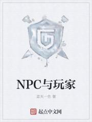 玩家与npc的二三事