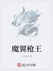 魔翼枪王全文阅读