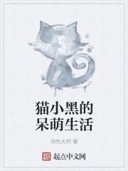 小黑是猫吗