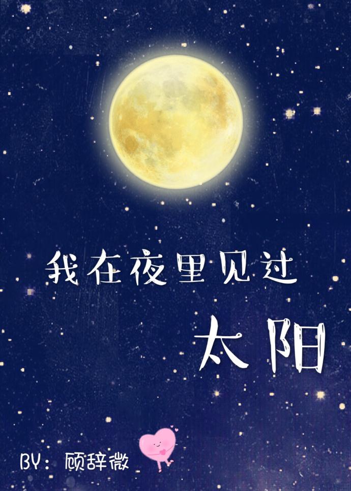 我在夜里见过太阳笔趣阁