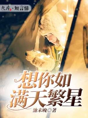 老版满天繁星2007