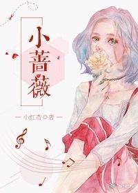 小蔷薇无删减版