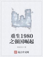 重生1980之强国崛起刘琅