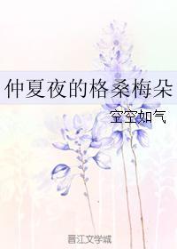 仲夏夜的格桑梅朵讲的什么