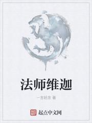 法师维迦TXT