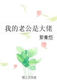 我的老公是大佬txt