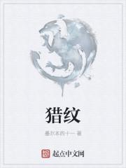 猎纹图鉴2