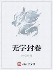 无字书的封面