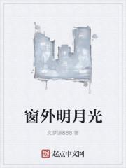 窗外明月光打一字