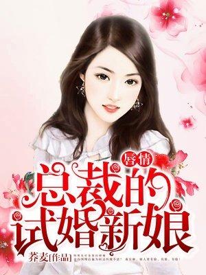 吻情总裁的试婚新娘