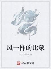 像风一样是什么