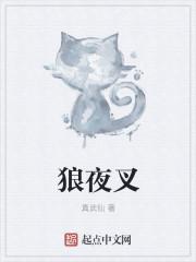 只狼夜叉糖有什么用