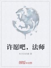 全职法师之许愿