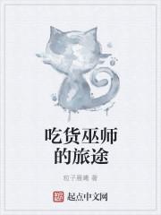 巫师的视频