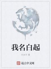 白起又名什么君