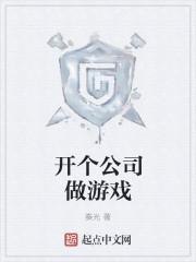 开一家网络游戏公司