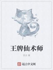 曹操传仙术师