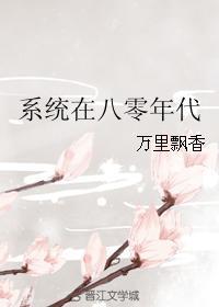 系统在八零年代27