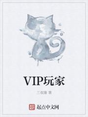 网游之我是全服唯一vip玩家