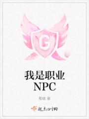 我是职业NPC后续