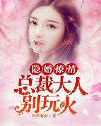 隐婚撩情总裁大人