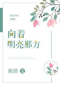 向着明亮那方作者简介